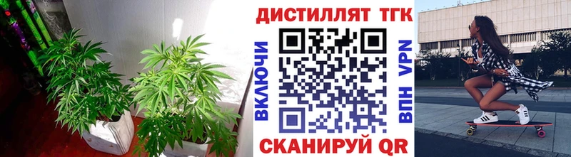сколько стоит  Михайловск  ТГК вейп 